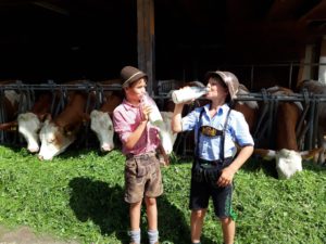 Bild-3.1