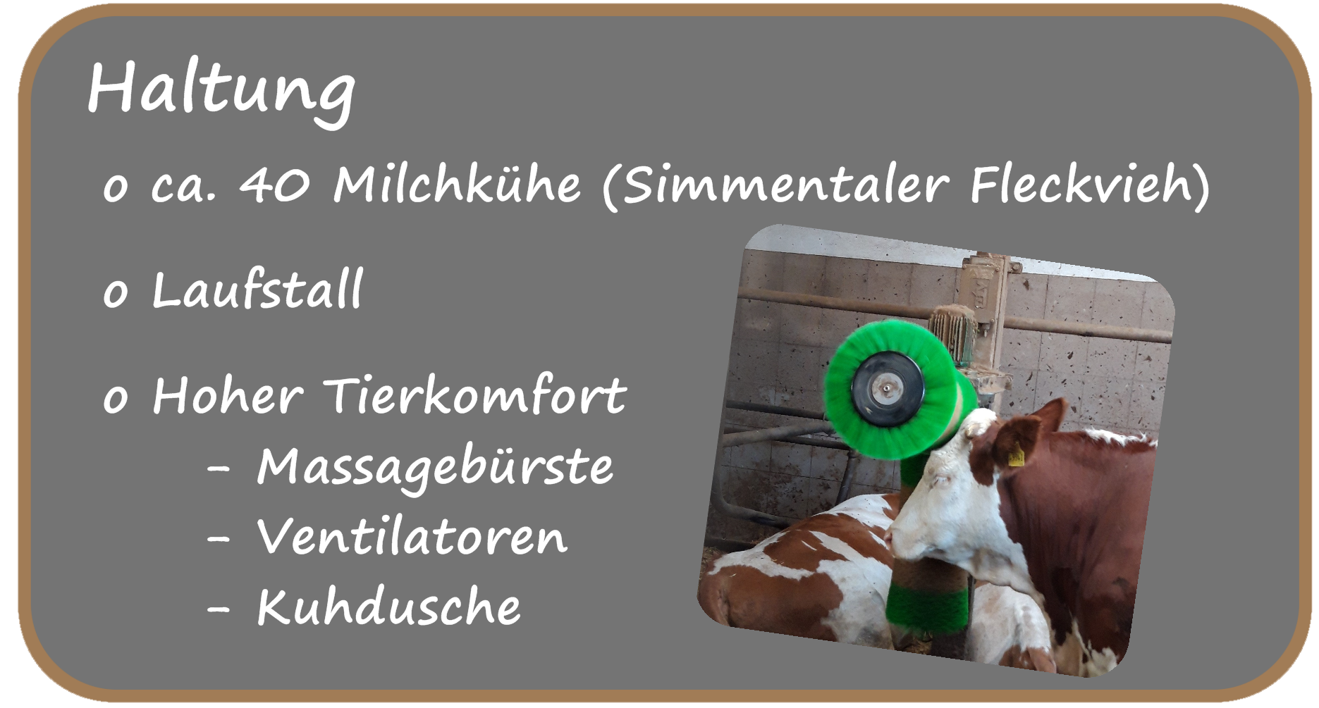 Wie Funktioniert Das Muh In Der Müllermilch Nachbar's MUH